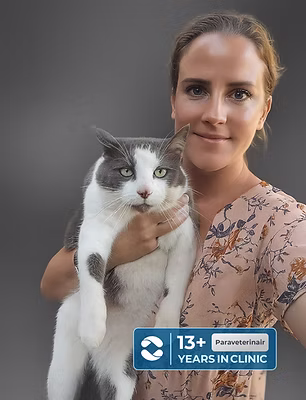 Carolien Hoeke